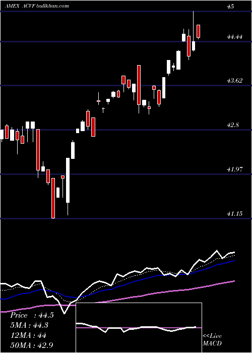  Daily chart AmericanConservative