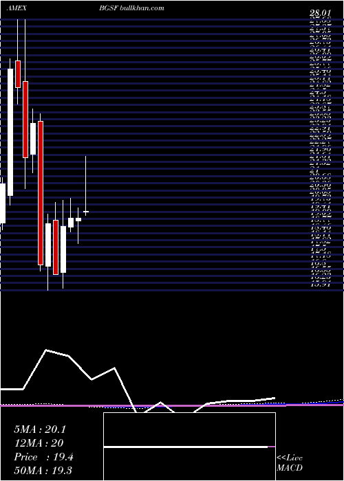  monthly chart BgStaffing