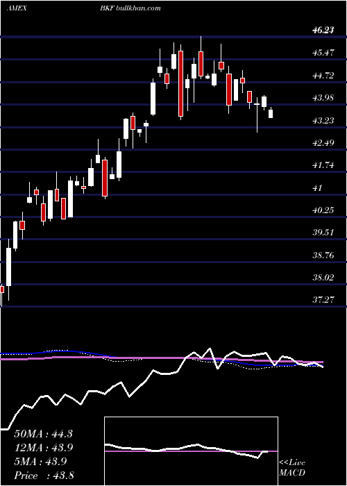  weekly chart BricIndex