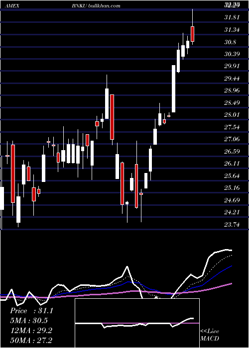  Daily chart Microsectors3x