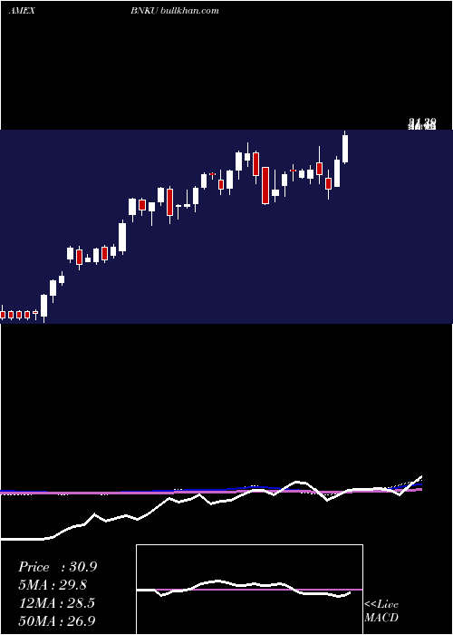  weekly chart Microsectors3x