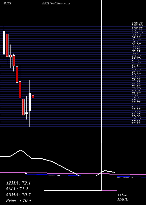  monthly chart DirexionDaily