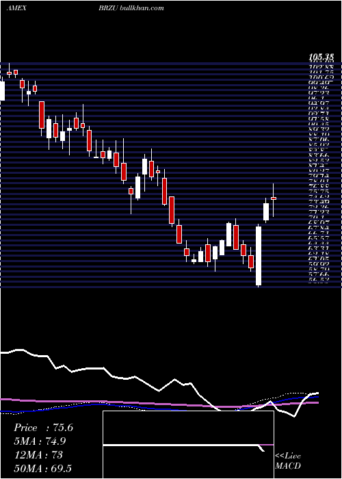  weekly chart DirexionDaily