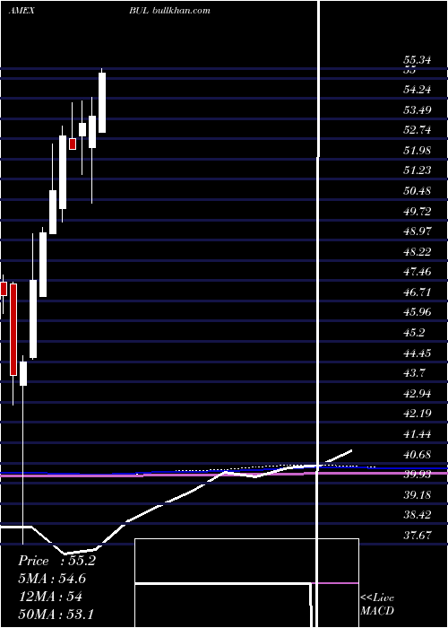  monthly chart PacerUs