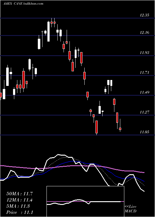  Daily chart TeucriumSugar