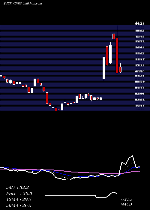 Daily chart AmplifySeymour