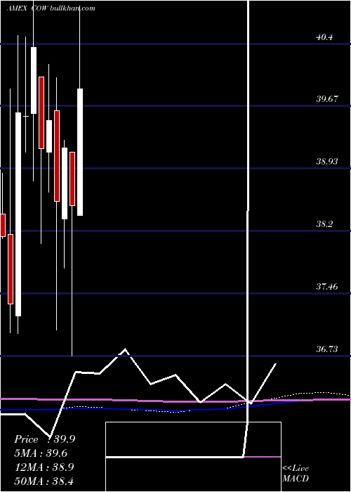  monthly chart DjUbs