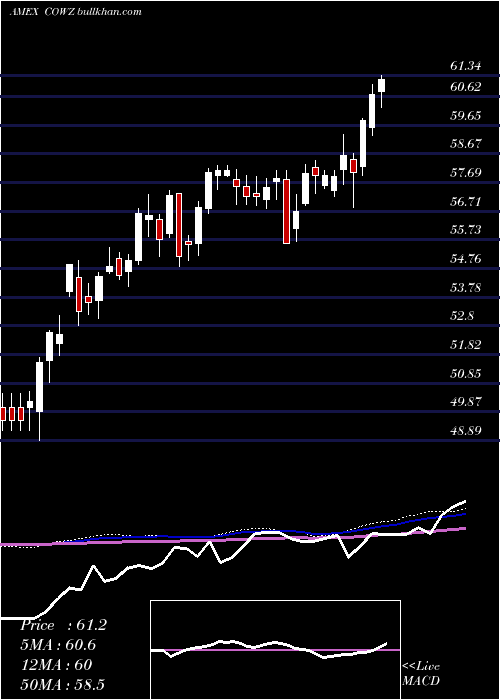  weekly chart PacerUs