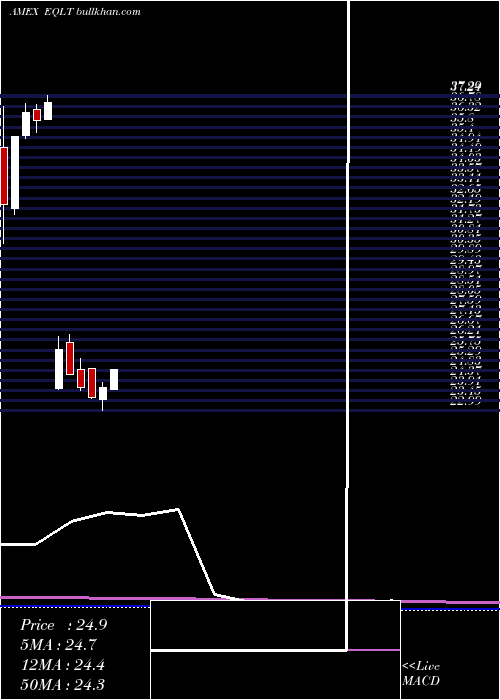  monthly chart WorkplaceEquality