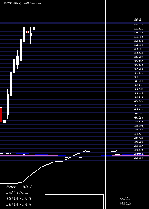  monthly chart FidelityBlue