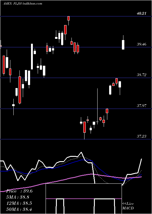  Daily chart JapanHedged