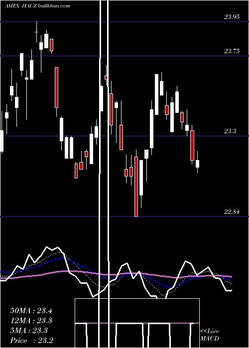  Daily chart XtrackersInternational