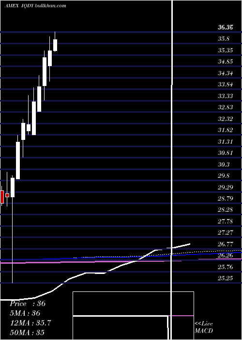  monthly chart FlexsharesInternational