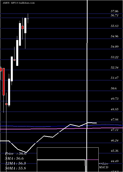  monthly chart PimcoRafi