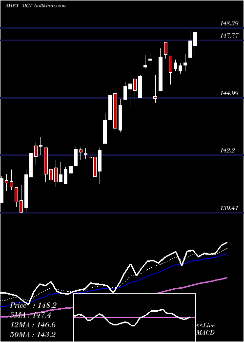  Daily chart Megacap300