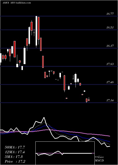  Daily chart ShortMidcap