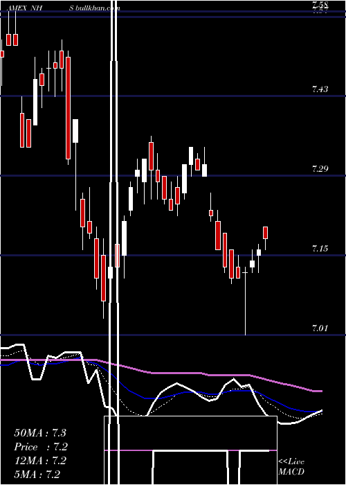  Daily chart NeubergerBerman