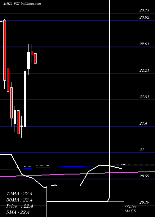  monthly chart InsuredNew