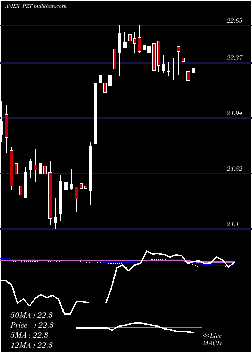  weekly chart InsuredNew