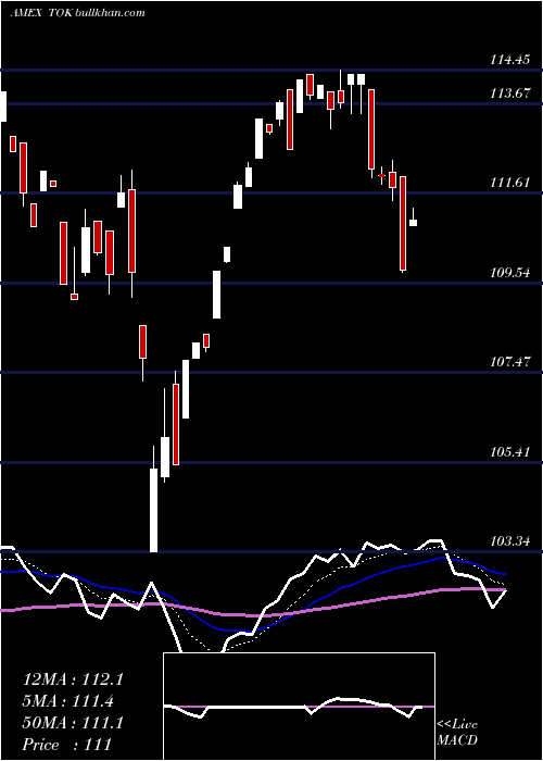  Daily chart KokusaiIndex