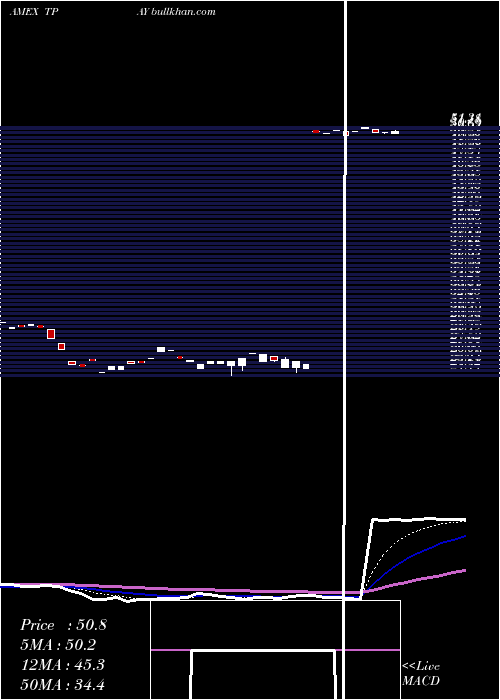  Daily chart TortoiseDigital