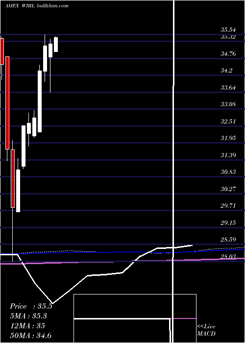  monthly chart WbiLarge