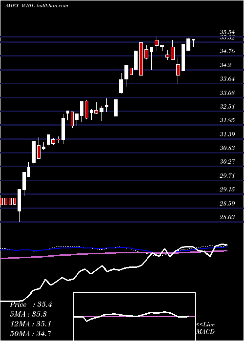  weekly chart WbiLarge