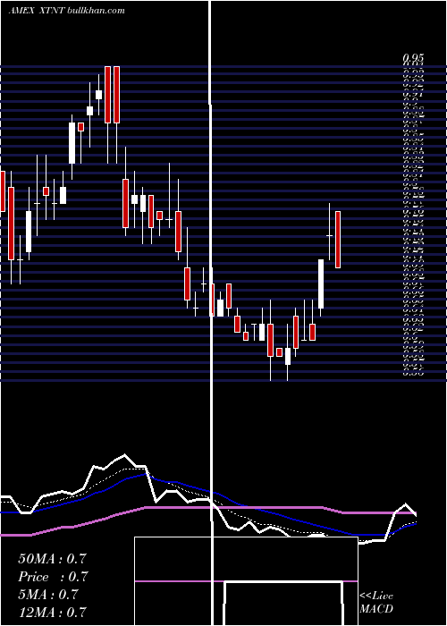  Daily chart XtantMedical