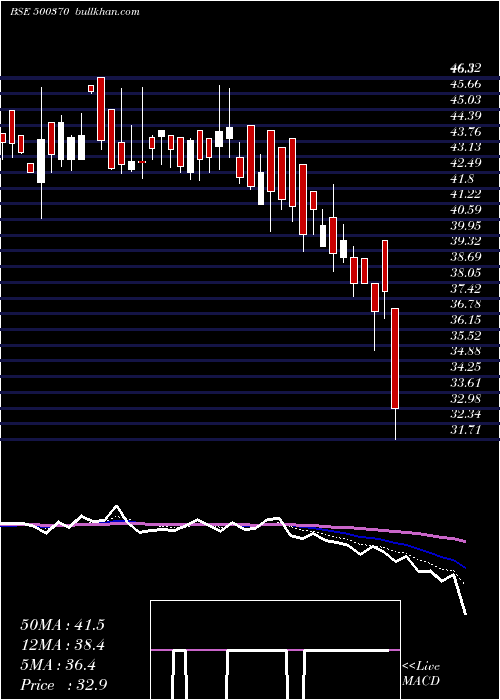  Daily chart SaloraInt