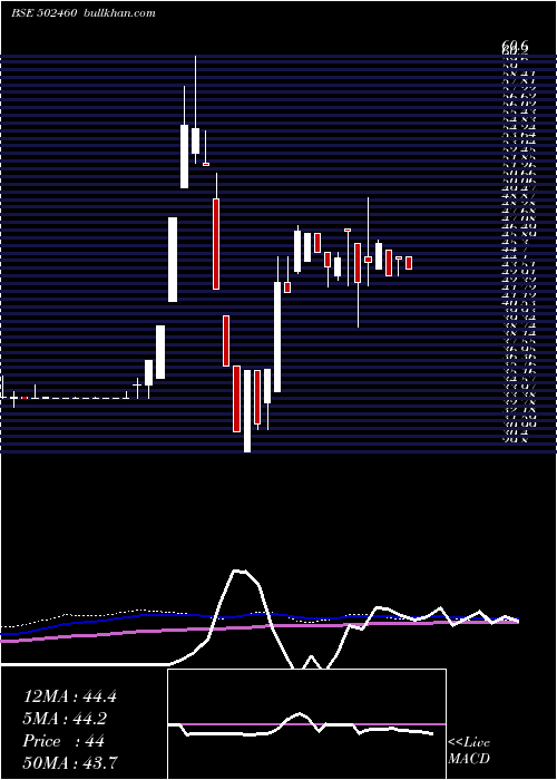  weekly chart SolidCont