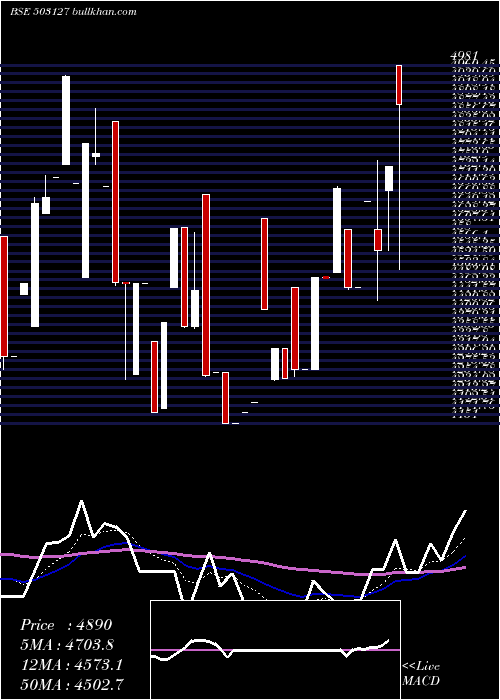  Daily chart RajaBahadur