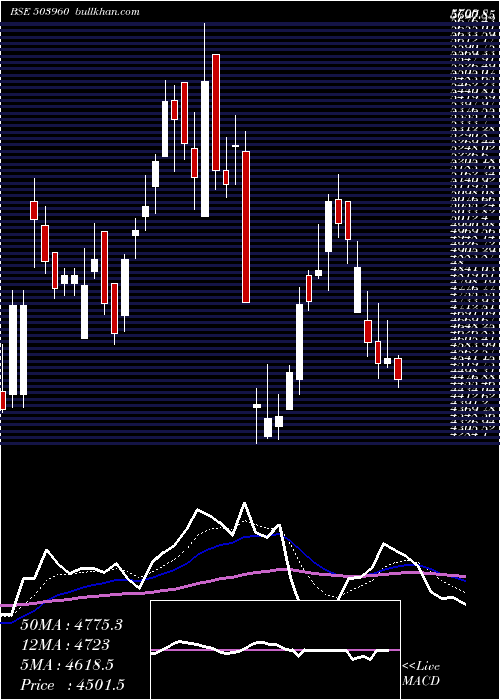  Daily chart BharatBijle