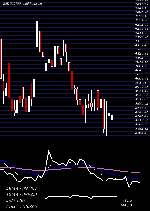  Daily chart Schaeffler