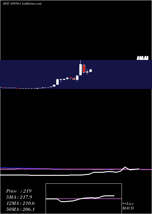  monthly chart ShriconInd