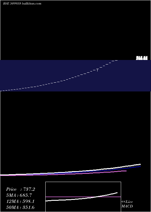  Daily chart TradeWings
