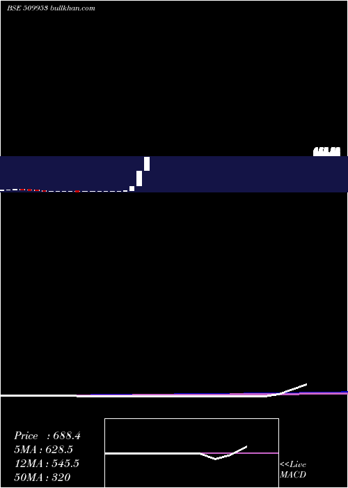  monthly chart TradeWings