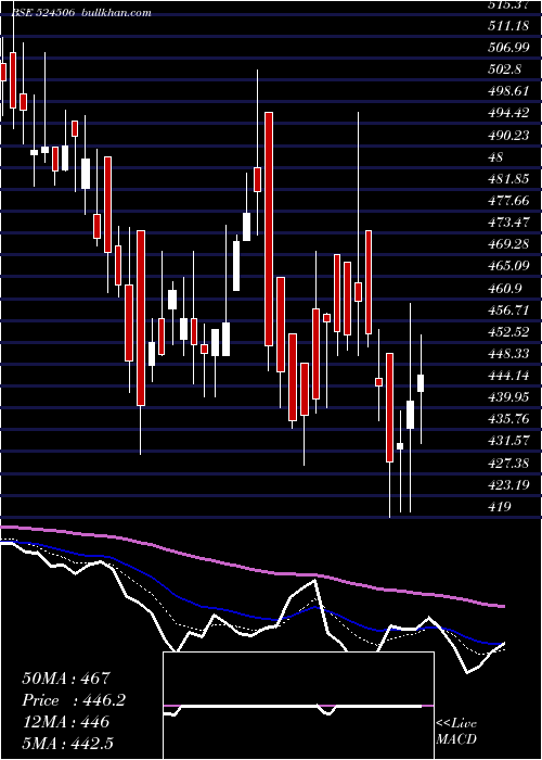  Daily chart CoralLab