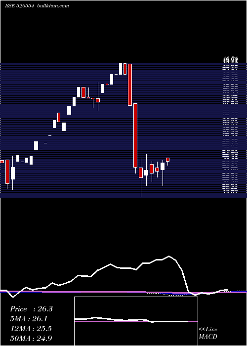  monthly chart SalgutiInd