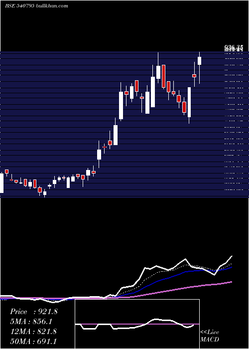  Daily chart Dynamic