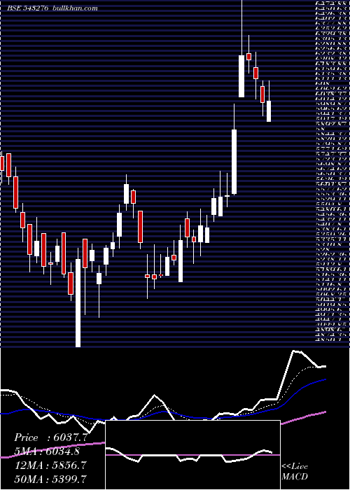  Daily chart Craftsman