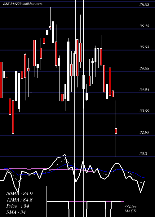  Daily chart PopularFoundations