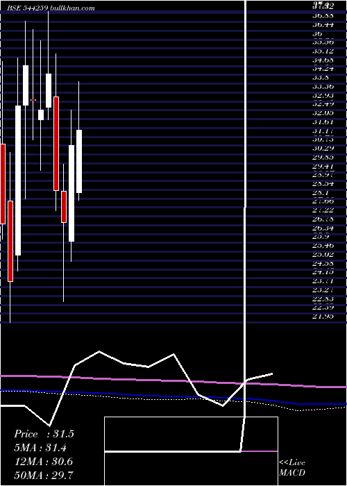  monthly chart PopularFoundations