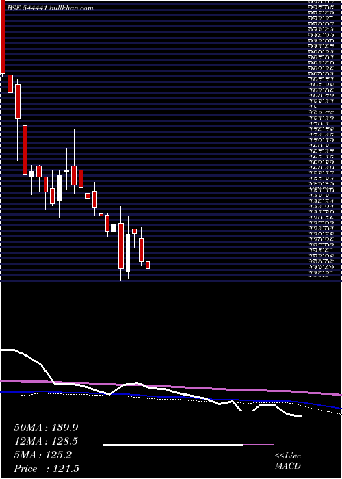  weekly chart MetaInfotech