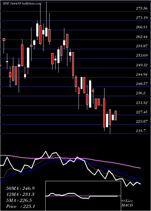  Daily chart MonarchSurveyors