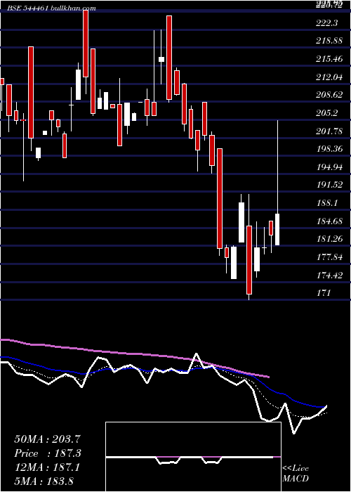  Daily chart EuroPanel