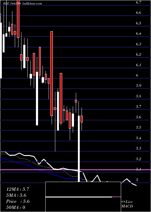  Daily chart AccuracyShipping