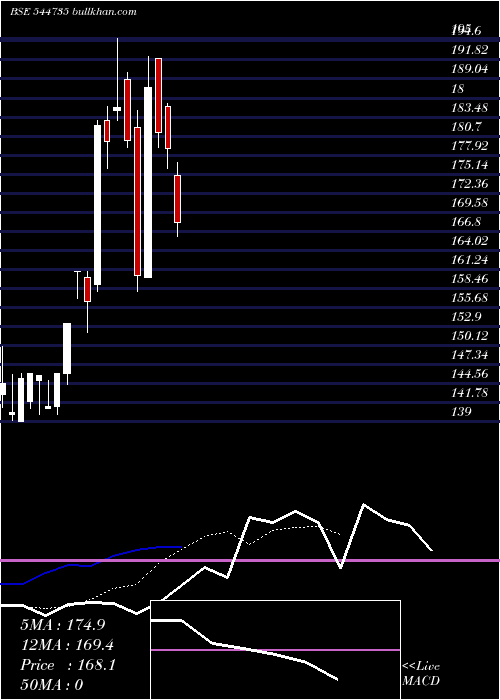  Daily chart NovusLoyalty