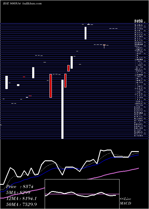  Daily chart Sgbfeb28