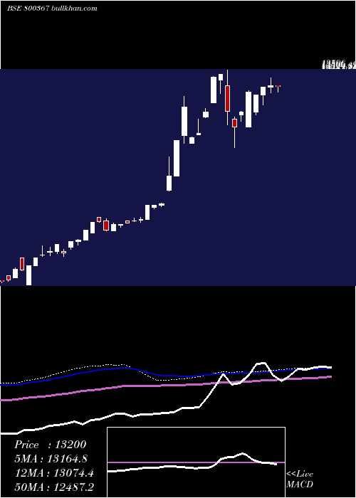  weekly chart Sgbjuly29