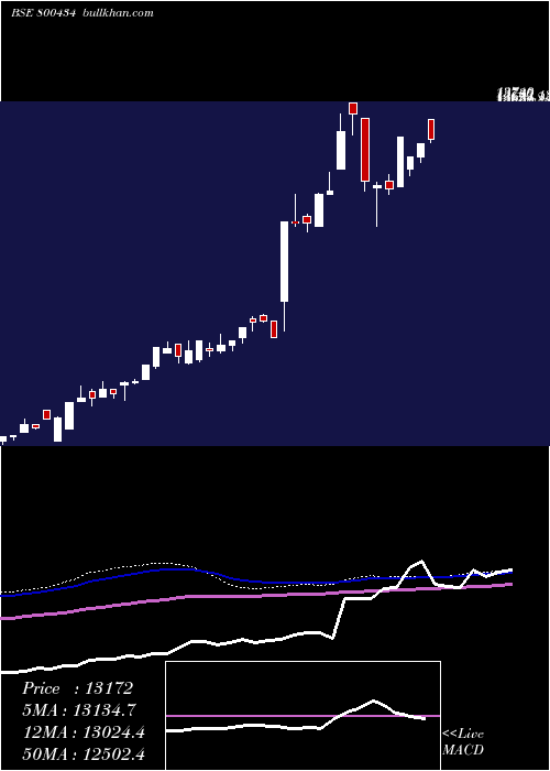  weekly chart Sgbnov29